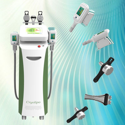 5 vermageringsdieet van het handvat het beste lichaam!! het materiaal van de het vermageringsdieetschoonheid van het cryolipolysislichaam