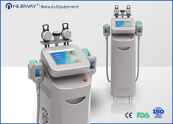 Coolsculpting che dimagrisce l'attrezzatura di bellezza/macchina dimagrante