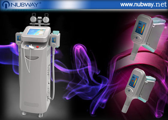 Wielofunkcyjne Urządzenia KRIOLIPOLIZA Odchudzanie kosmetyczne dla Fat rozpuszczenie