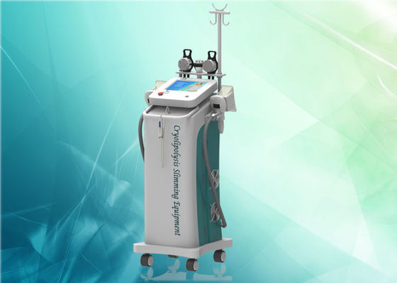 Thiết bị béo đông Cryolipolysis Slimming Professional Beauty AC 220V / 110V