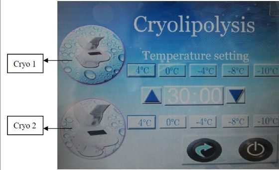 Cryolipolysis RF Slimming Beauty Equipment Mechanical Massage With 2 Cryo Handles