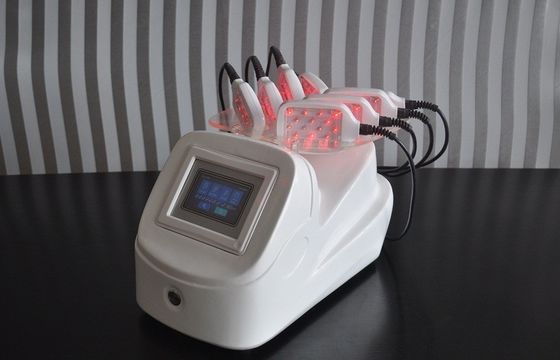 মিনি 4.3 &quot;নিখুঁত মুখের জন্য চামড়া তিরস্কার জন্য Lipo লেজারের স্লিমিং মেশিন, চামড়া