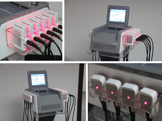 Laser di Lipo che dimagrisce l'attrezzatura di bellezza, macchina di perdita di peso 650nm per la casa