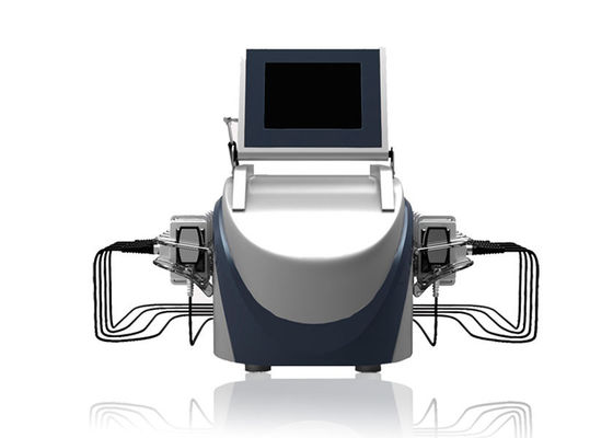 Professional 10 Paddles Lipo Laser Machine / Laser Weight Loss Machine