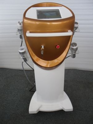 Soporte de fabricante de equipos de belleza RF de cavitación Tripolar ultrasónica