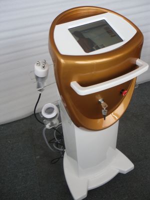 Soporte de fabricante de equipos de belleza RF de cavitación Tripolar ultrasónica