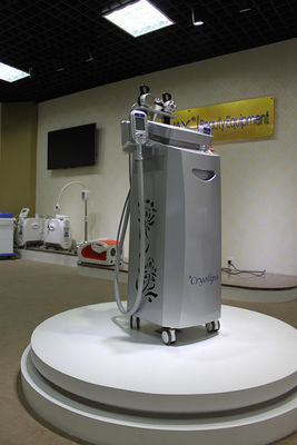Sbocco di fabbrica!!! Nuovo vuoto di cavitazione di Cryolipolysis rf che dimagrisce macchina