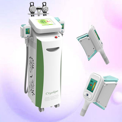 Factory price !!! New Cryolipolysis RF Cavitation Vacuum Slimming Machine