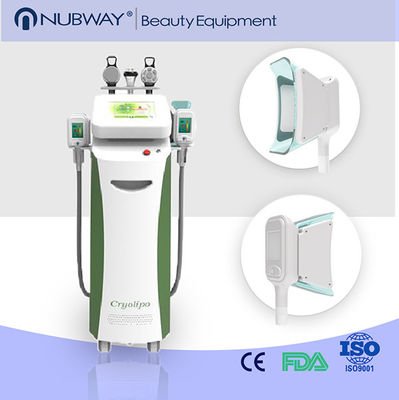 Factory price !!! New Cryolipolysis RF Cavitation Vacuum Slimming Machine