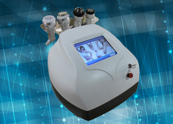 5 &#39;&#39; Máy 42KHz siêu âm Cavitation Cellulite Giảm Đối với Beauty Salon