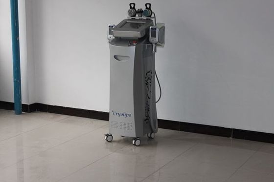 Van de Laserlipo van rf de Koude Machine van het de Laservermageringsdieet/Cellulite-Verminderingsmachine 220V 50Hz,