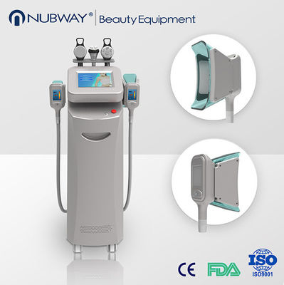 Van de Laserlipo van rf de Koude Machine van het de Laservermageringsdieet/Cellulite-Verminderingsmachine 220V 50Hz,
