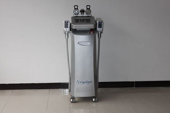 Van de Laserlipo van rf de Koude Machine van het de Laservermageringsdieet/Cellulite-Verminderingsmachine 220V 50Hz,