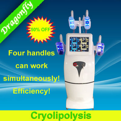 몸 전체 특허를 위한 아주 새로운 Cryolipolysis 셀룰라이트 감소 기계