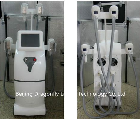 몸 전체 특허를 위한 아주 새로운 Cryolipolysis 셀룰라이트 감소 기계