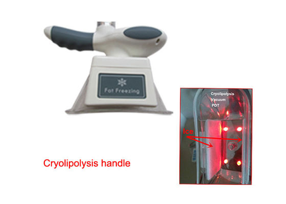 Vakum Rulo RF Cryolipolysis Yağ Freeze zayıflama makinesi Lipo lazer Kavitasyon