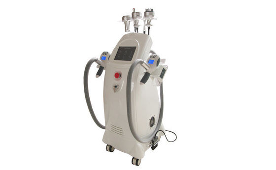 Machine ultrasonique d'enlèvement de cellulites de cavitation de vide vertical à la maison