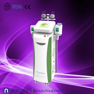 La plus nouvelle machine étonnante rapide de réduction de cellulites de cryolipolysis de résultat pour perdre le poids