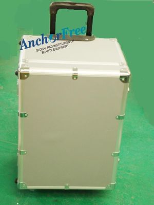 Ana Sayfa 1064nm / 532nm q Switch Nd Yag Lazer Dövme Çıkartma Makinesi, Özel Tıbbi Güzellik Ekipmanları