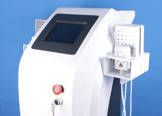 Thẩm mỹ viện 8 &#39;Laser Hút mỡ Máy móc / 336 Điốt mát lipolaser Vertical đẹp Thiết bị