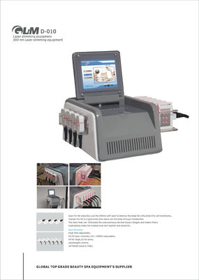 D-010 Diode Laser Odchudzanie Uroda Sprzęt / Pulpit laserowe odchudzanie maszyna do domu