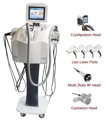 Laser Lipo Maszyna / Lipo laser + KRIOLIPOLIZA + Cav + RF Odchudzanie Maszyna