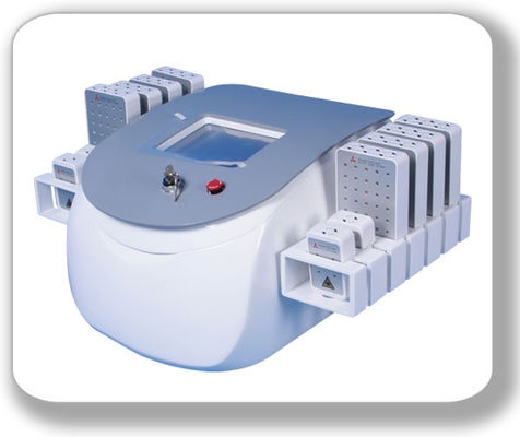 Schnelle Abnehmenmaschine BR320 (Fabrikpreis) 336 Diode Lipolaser