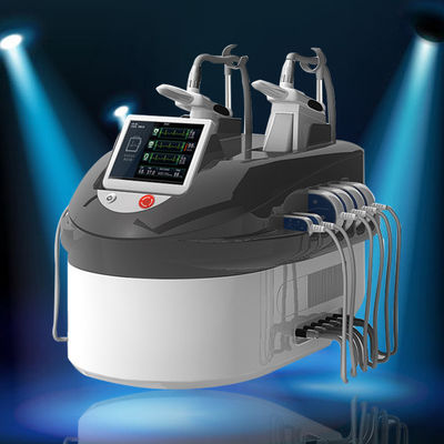 携帯用 Cryolipolysis レーザー Lipo 機械、装置を細くする金星の氷結の腹