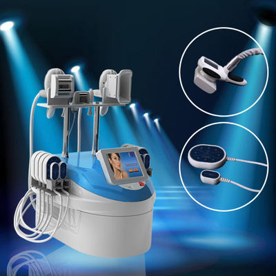 携帯用 Cryolipolysis レーザー Lipo 機械、装置を細くする金星の氷結の腹