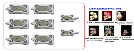Cosmetic Liposuction Fat Freezing Machine Lipo Cavitation Weight Loss Treatment