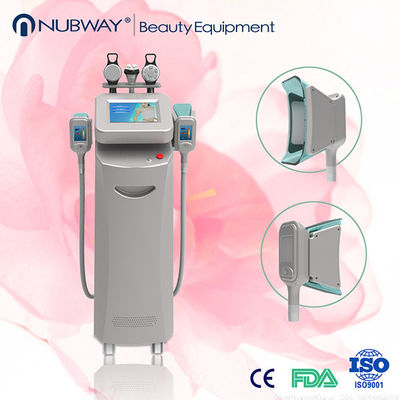 Van het het Lichaamsvermageringsdieet van de Cryolipolysismachine 2014/Cryolipolysis de Schoonheidsmateriaal