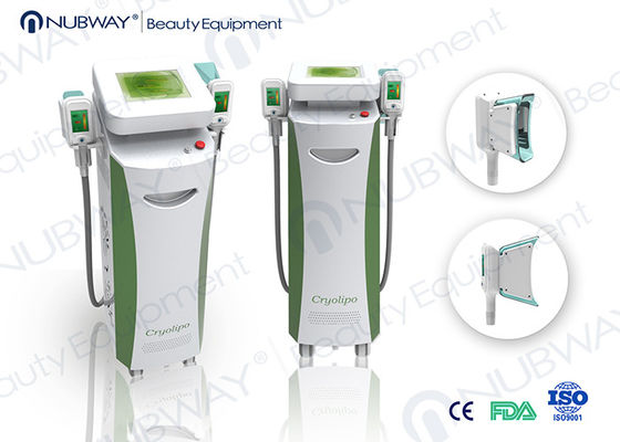 美装置のキャビテーションの cryolipolysis の細くを細くする CoolSculpting rf の cryolipolysis
